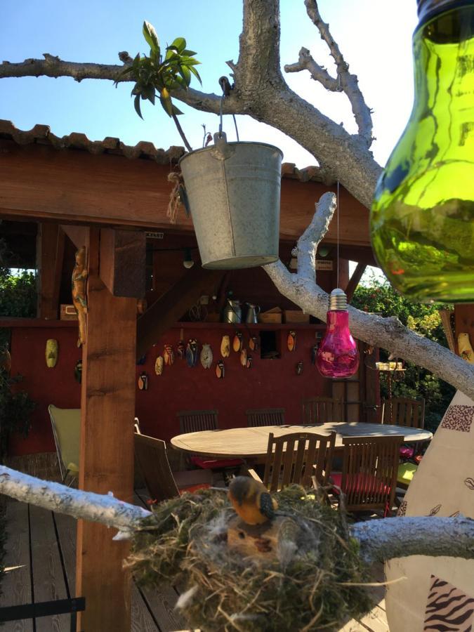 Les Pascals Bed & Breakfast Saint-Paul-lès-Romans Dış mekan fotoğraf