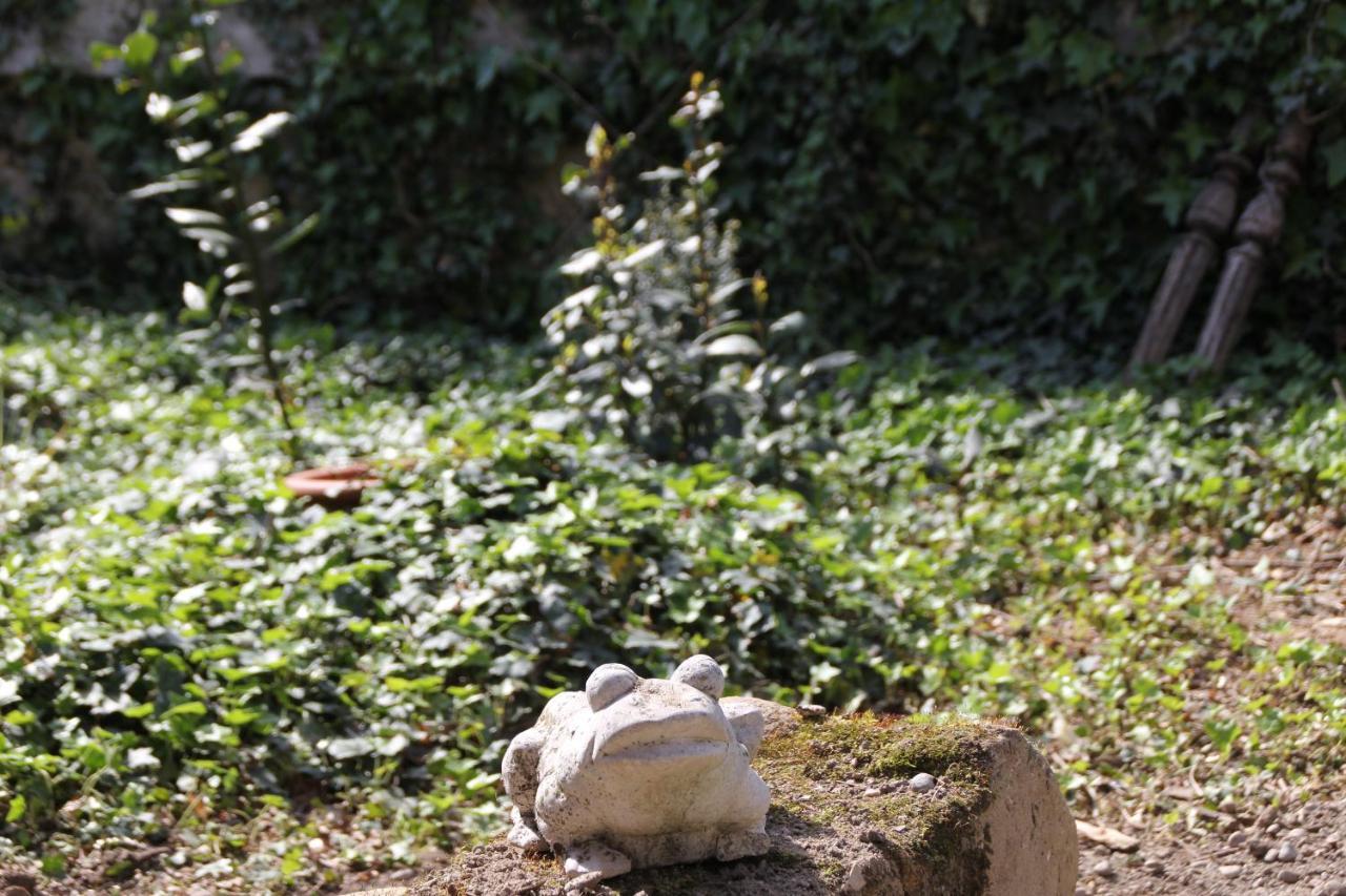 Les Pascals Bed & Breakfast Saint-Paul-lès-Romans Dış mekan fotoğraf